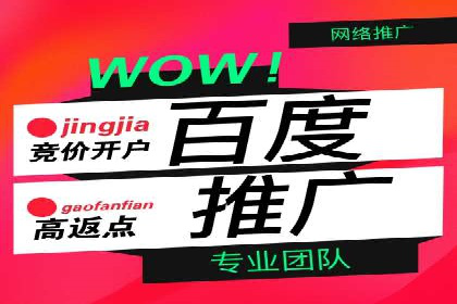 竞价广告策略案例分析